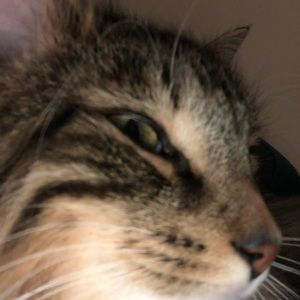 Meet your Posher, Brianna